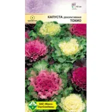 Капуста декоративная Токио см 0.2г