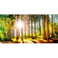 Флизелиновые обои Citydecor Природа 149 (300x150см)