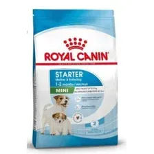 Royal Canin Mini Starter Корм сухой полнорационный для собак мелких пород (до 10 кг) в конце беременности и в период лактации, а также для щенков в период отъема от матери и до 2-х месячного возраста, 1 кг