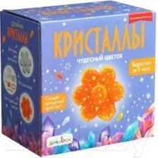 Набор для опытов Bumbaram Фигурный Кристалл Цветок оранжевый / A128