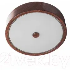 Потолочный светильник Aitin-Pro НББ 3051L (дерево)