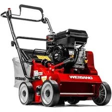Скарификатор Weibang WB 384RB