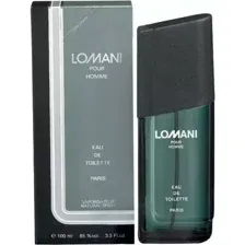 Туалетная вода Lomani Pour Homme (100мл)