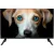 Телевизор Topdevice 24" SMART TV YaOS (черный)