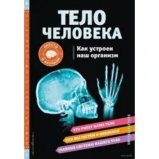 Тело Человека. Как устроен наш организм