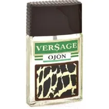 Туалетная вода Positive Parfum Versage Ojon for Men (100мл)