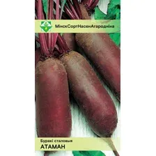 Семена Свекла Атаман столовая, 2г (среднепоздний сорт)
