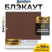 Рулонная штора Sundays Home LM 168-09 140x170 (коричневый)