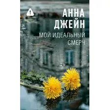 Художественная книга АСТ Мой идеальный смерч (Джейн А. 9785171777432)