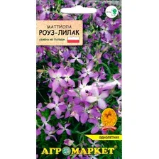 Семена цветов Агромаркет Маттиола двурогая Роуз-лилак (1г)