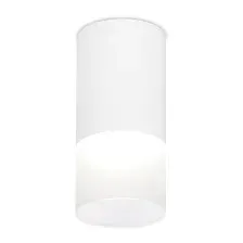 Точечный светильник Ambrella TN231 WH/S