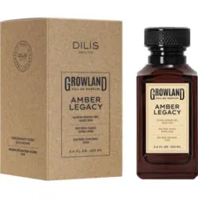 Парфюмерная вода Dilis Amber Legacy, мужская, 100 мл