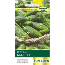 Семена Огурец Бъерн F1 (Enza Zaden) 5 шт, РБ