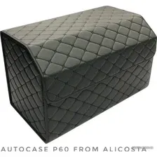 Органайзер автомобильный Alicosta P60 (экокожа, черный)