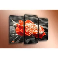 Модульная картина Arthata m-000530 90x60