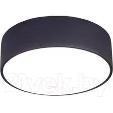 Потолочный светильник Citilux Тао CL712122N
