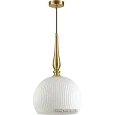 Подвесная люстра Odeon Light Runga 4765/1