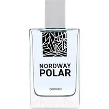 Туалетная вода Brocard Nordway Polar (100мл)
