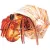 Конструктор Makebug Bring Nature Home Рак-отшельник MB-B-0008