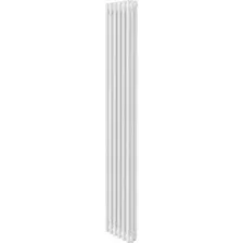 Радиатор стальной Royal Thermo Insignia VC3180 - 06 секций RAL9016