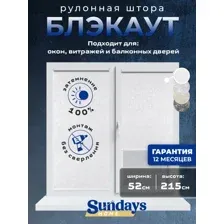 Рулонные шторы Sundays Home LM 97-11 52х215 (белый)