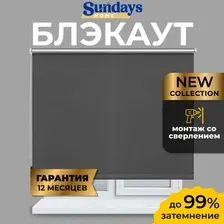 Рулонные шторы Sundays Home LM 167-07 220х185 (темно-серый)
