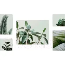 Картина Stamprint Зеленное растение CS002 SET5 (90x160)