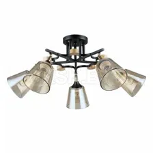 Люстра потолочная Arte Lamp GLASSY A5078PL-5BK