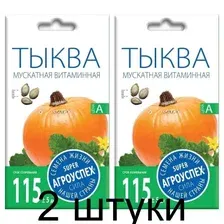 Семена Агроуспех Тыква Россиянка 65816 2 г