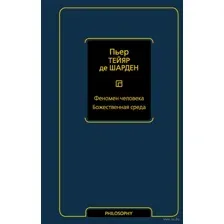 Феномен человека. Божественная среда