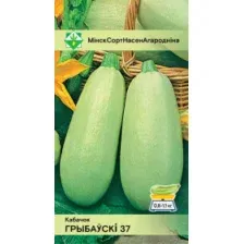 Кабачок Грибовский 37 2г