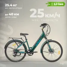 Электровелосипед MyWay Trip 250 28