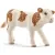 Фигурка Schleich Симментальский теленок 13802