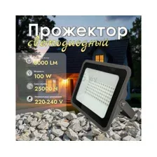 Прожектор Truenergy 13116