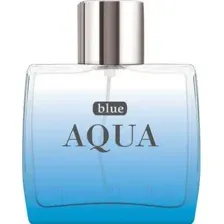 Туалетная вода Dilis Blue Aqua (100мл)