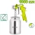 Краскопульт Dyllu DTGA1510