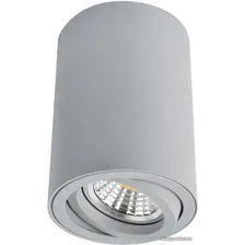 Точечный светильник Arte Lamp Sentry A1560PL-1GY