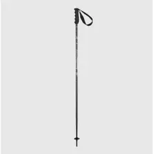 Лыжные палки Elan Speedrod 2024-2025 CD532023-110 (р.110, черный)