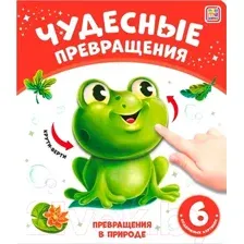 Чудесные превращения. Превращения в природе