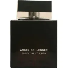 Туалетная вода Angel Schlesser Essential Men (100мл)