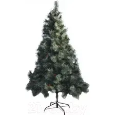 Сосна Merry Bear Келли с шишками PB 210 2.1 м