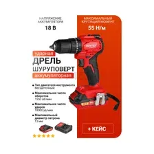 Ударная дрель-шуруповерт Wortex BD 2030-1 DLi 1333424 (с 2-мя АКБ)