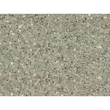 Линолеум Juteks Master Proxi-2 0887 (2.5x4.5м)
