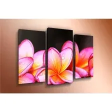 Модульная картина Arthata m-000498 75x50