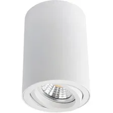 Точечный светильник Arte Lamp Sentry A1560PL-1WH