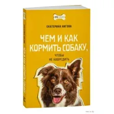Чем и как кормить собаку, чтобы не навредить