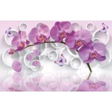 Фотообои Citydecor Цветочная Абстракция 11 3D с защитным покрытием 400x260