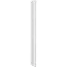 Стальной трубчатый радиатор Royal Thermo Insignia C2180 - 04 секций RAL9016