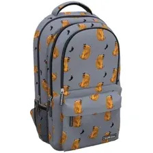 Городской рюкзак Erich Krause ActiveLine Ergoback 22L Capybara 60319
