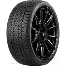 Зимняя шина Arivo Winmaster ProX ARW3 225/45R19 96V
